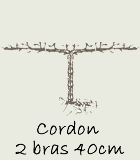 Cordon 2 bras 40 cm